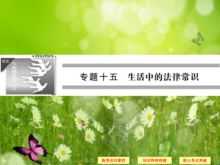 2014屆高考政治（浙江專用）二輪復(fù)習(xí)知識整合專題課件：15 生活中的法律常識_第1頁