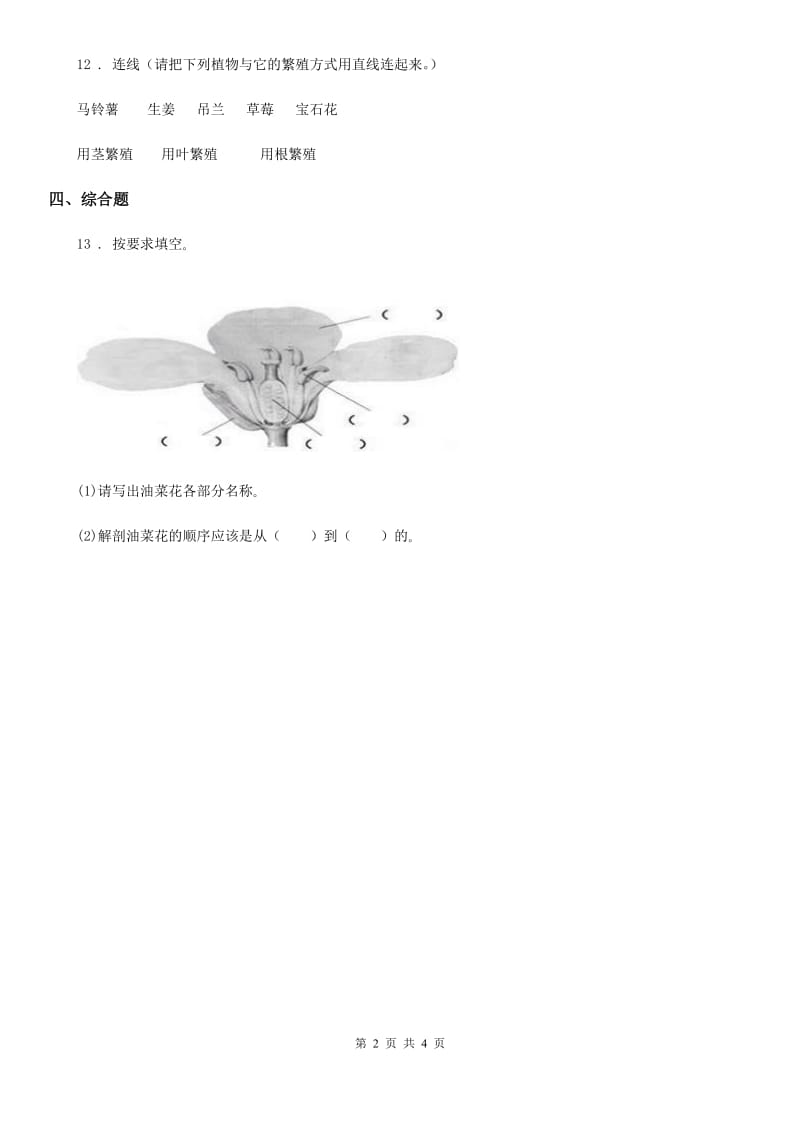 四川省科学三年级下册1.1 植物新生命的开始练习卷_第2页