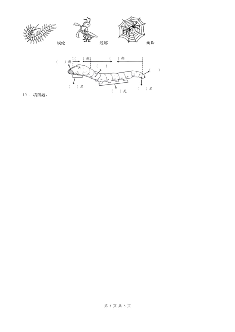 四川省科学2020年四年级下册第二单元测试卷C卷（模拟）_第3页