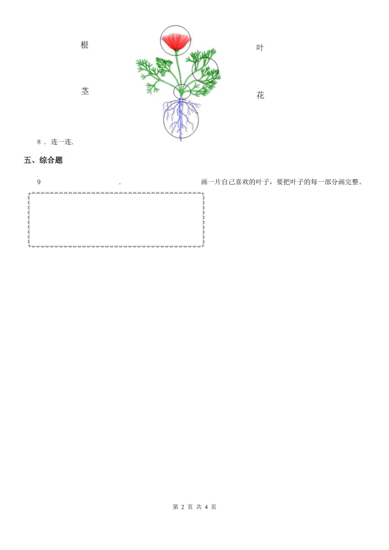 四川省科学2019-2020学年度一年级上册1.3 观察叶练习卷（II）卷_第2页