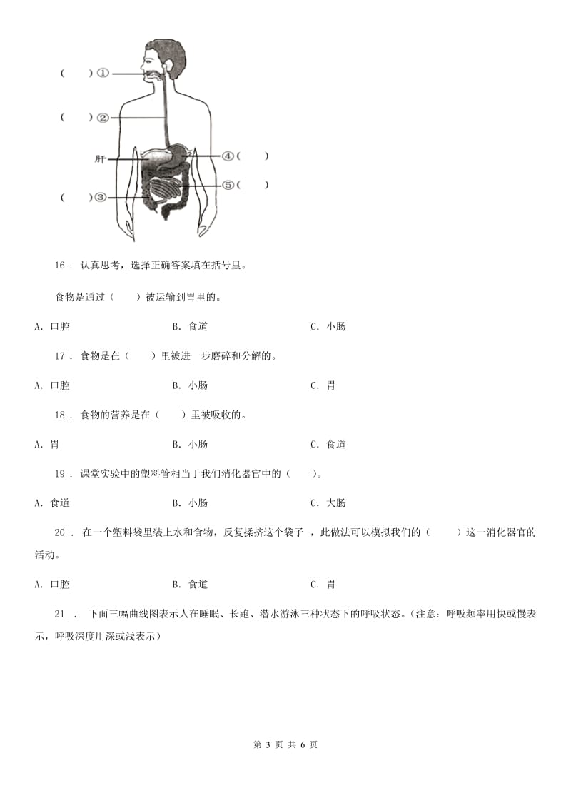 四川省科学四年级上册4.7 相互协作的人体器官练习卷_第3页