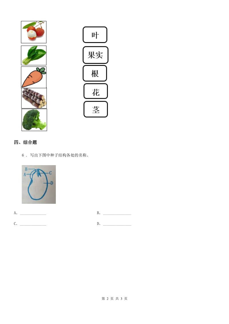 四川省科学2020届一年级上册1.4 这是谁的叶练习卷D卷_第2页