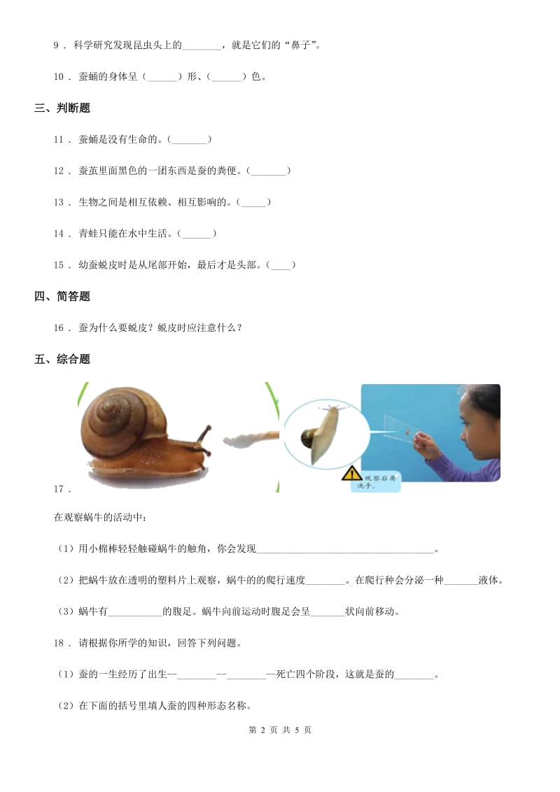 四川省科学2019-2020年二年级下册1.2 校园里的蚂蚁练习卷D卷_第2页