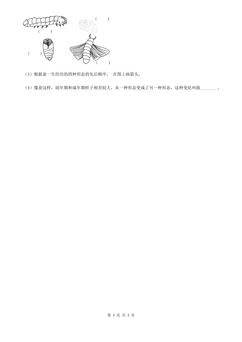 四川省科学2019-2020年二年级下册1.2 校园里的蚂蚁练习卷D卷_第3页