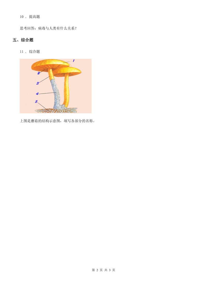 四川省科学五年级上册1.1 病毒练习卷_第2页