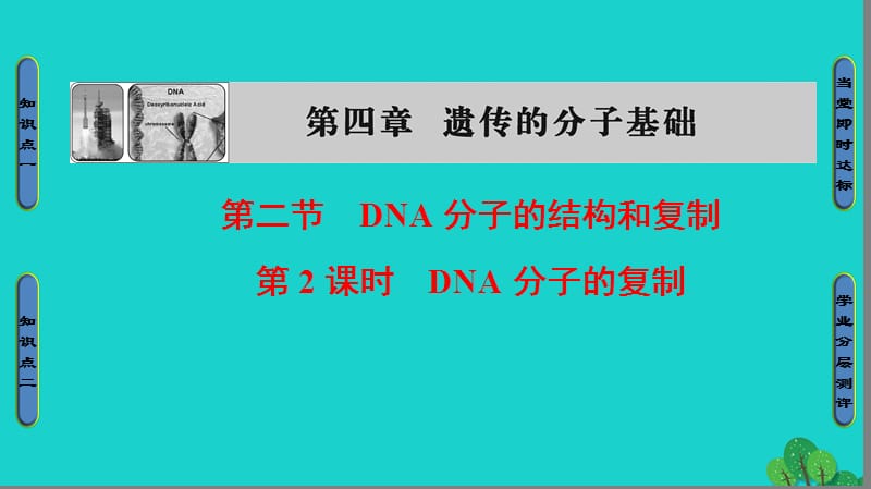 2016_2017学年高中生物第4章遗传的分子基础第2节DNA分子的结构和复制第2课时DNA分子的复制课件苏教版必修_第1页