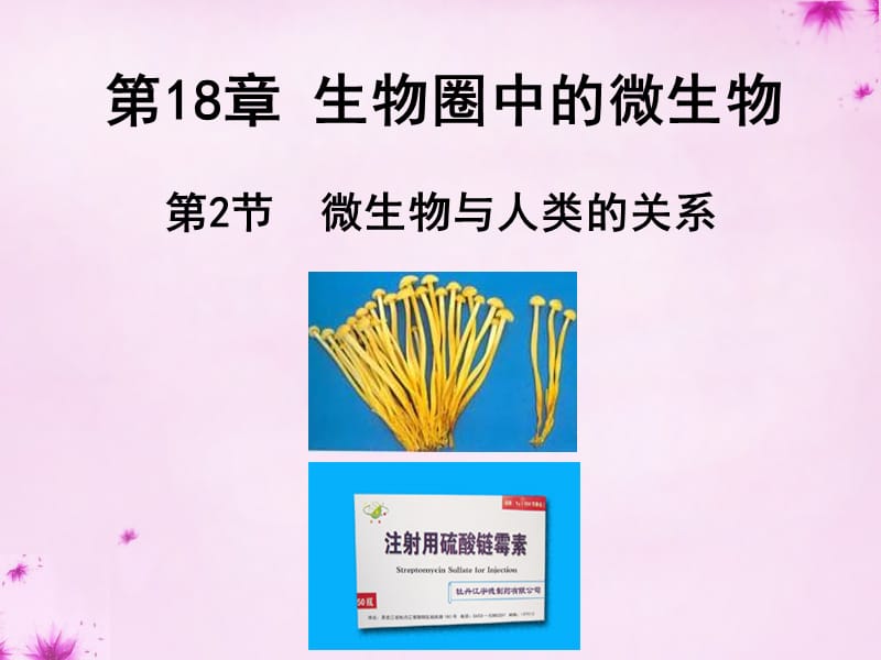 2015秋八年级生物上册第十八章第二节微生物与人类的关系课件北师大版_第1页