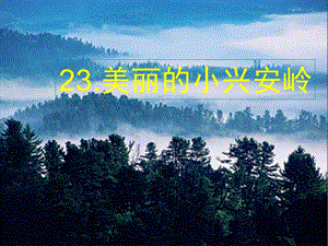 2015年春北京版語文四年級下冊《美麗的小興安嶺》ppt課件詳細信息