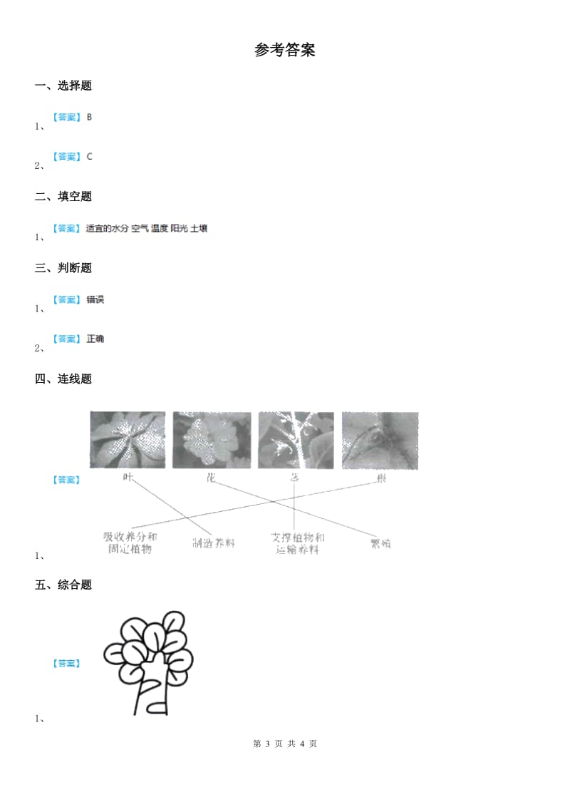 四川省科学2019-2020年一年级上册1.2 观察一棵植物练习卷（I）卷_第3页