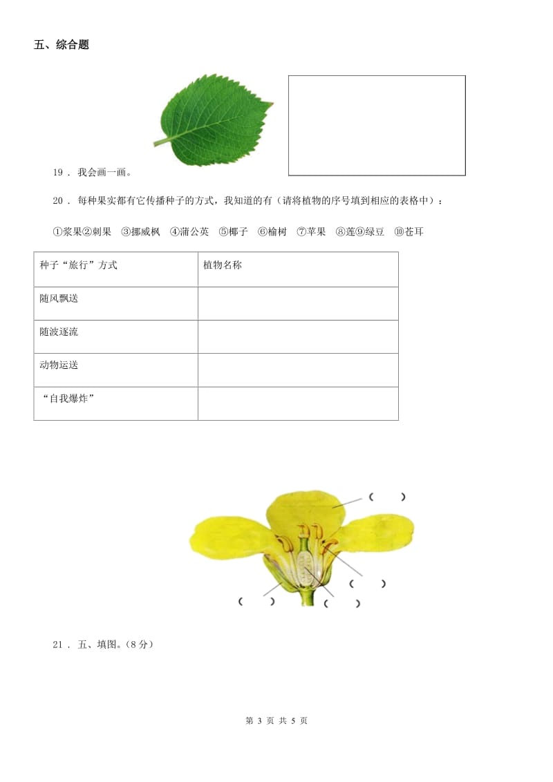 四川省科学2020年三年级下册第二单元形成性测试卷（5）（I）卷_第3页