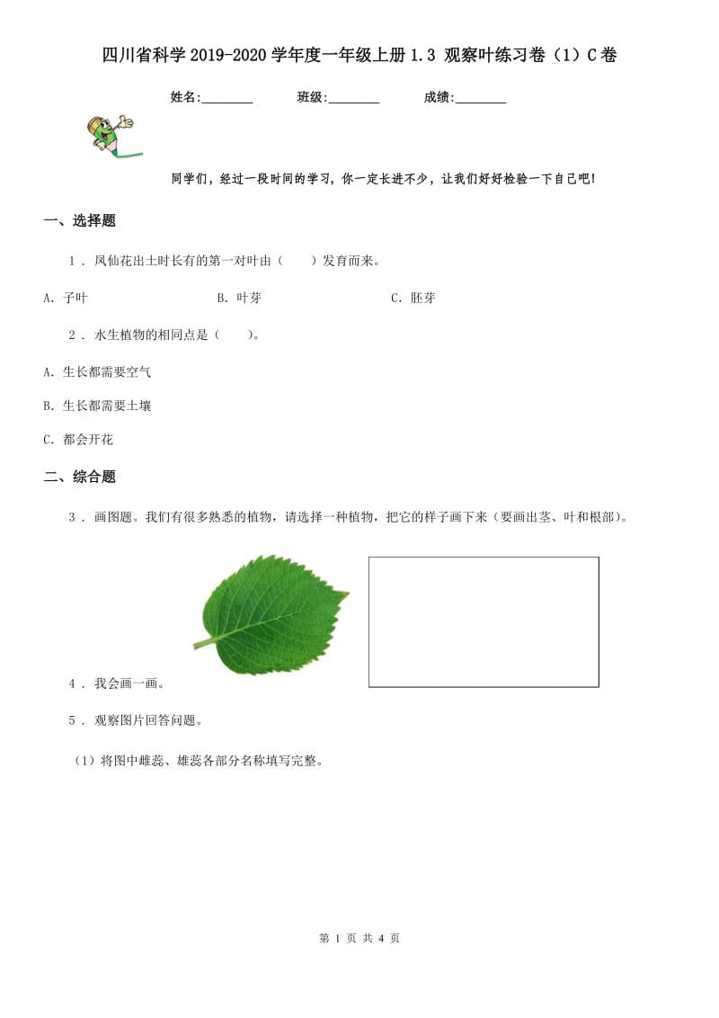 四川省科学2019-2020学年度一年级上册1.3 观察叶练习卷（1）C卷_第1页