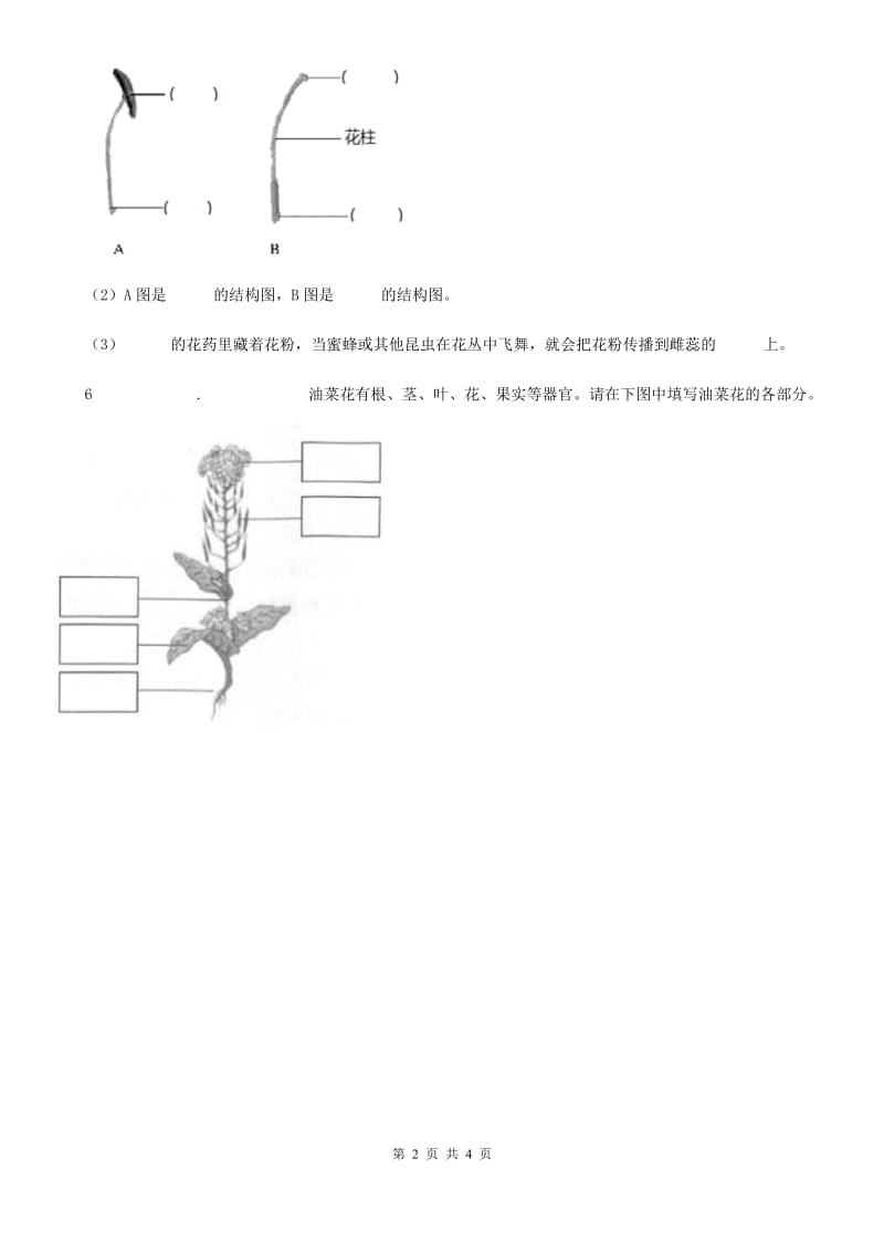 四川省科学2019-2020学年度一年级上册1.3 观察叶练习卷（1）C卷_第2页