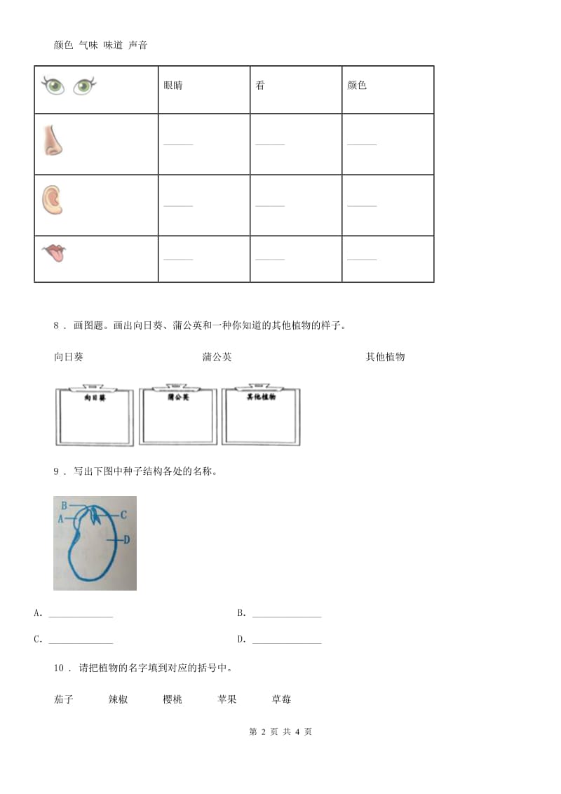 四川省科学2020年一年级上册2.观察一棵植物D卷_第2页