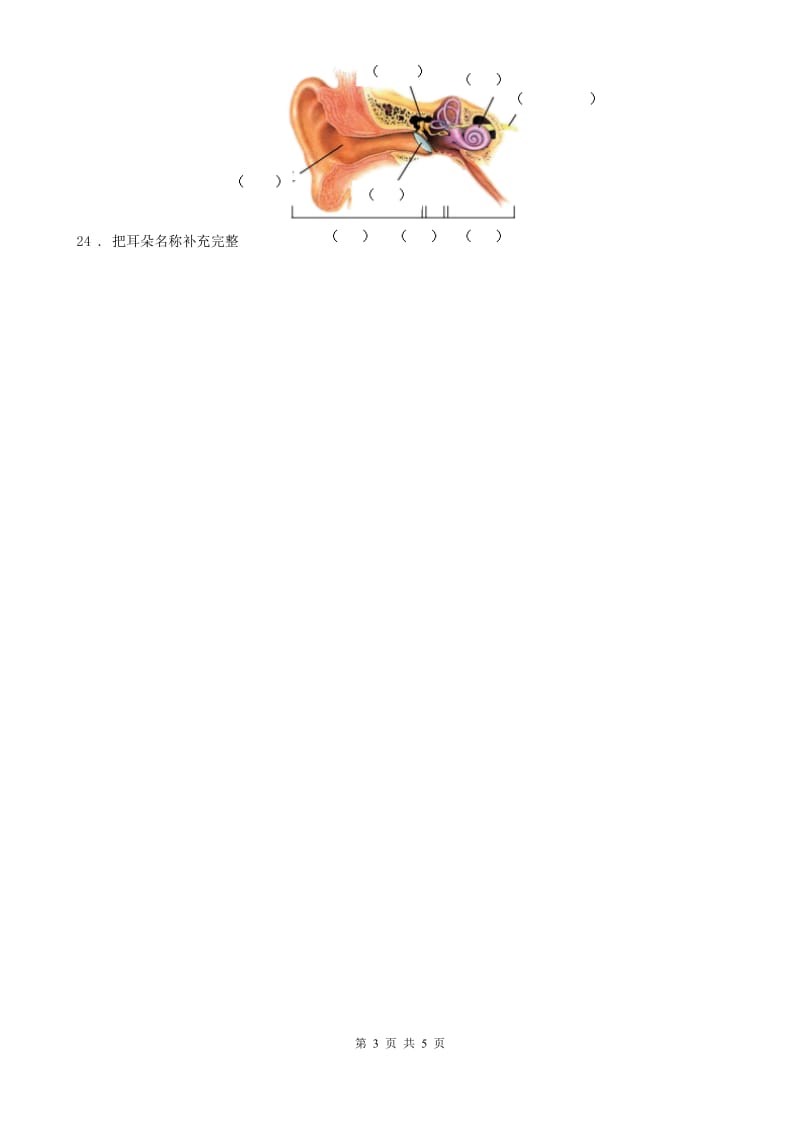 四川省科学2019-2020学年四年级上册第三单元形成性测试卷（3）C卷_第3页