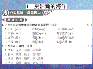 2018語文版語文九年級下冊第4課《更浩瀚的海洋》PPT習題課件（含答案）