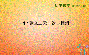 山東詩(shī)營(yíng)市墾利區(qū)郝家鎮(zhèn)七年級(jí)數(shù)學(xué)下冊(cè)1.1建立二元一次方程組課件新版湘教版