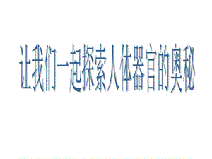 人教版初中生物课件《输送血液的泵——心脏》（共15张PPT）