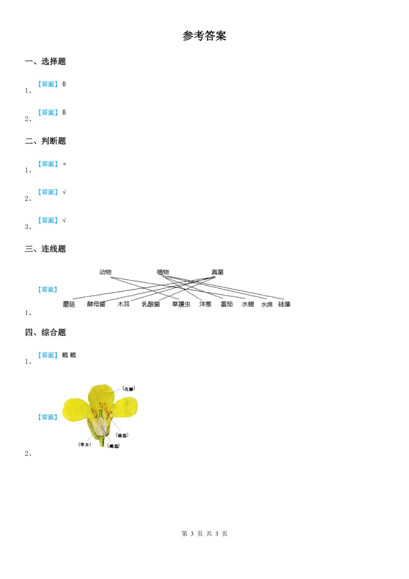 四川省科学2019-2020年一年级上册6.校园里的植物B卷_第3页