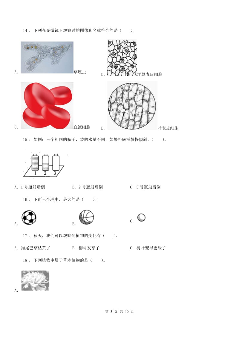 四川省科学六年级上册滚动测试（二十）_第3页