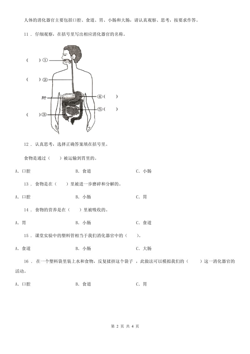 四川省科学五年级上册2.6 食物到哪里去了练习卷_第2页