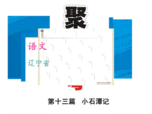 2016年中考語文重點(diǎn)文言文梳理訓(xùn)練（13）小石潭記詳細(xì)信息