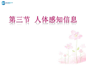 七年級生物下冊第十二章第三節(jié)人體感知信息課件3（新版）蘇教版