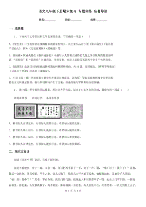 語(yǔ)文九年級(jí)下冊(cè)期末復(fù)習(xí) 專(zhuān)題訓(xùn)練 名著導(dǎo)讀