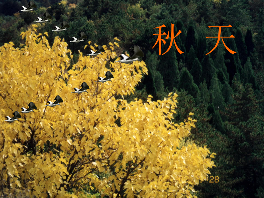 湖南省長(zhǎng)沙市望城縣喬口鎮(zhèn)喬口中學(xué)七年級(jí)語(yǔ)文上冊(cè)14《秋天》課件3（新版）新人教版_第1頁(yè)