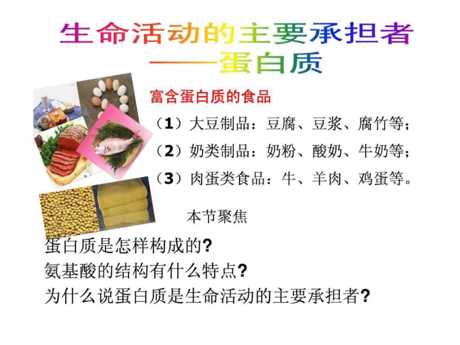 高中生物必修一《生命活動的主要承擔者——蛋白質(zhì)》課_第1頁