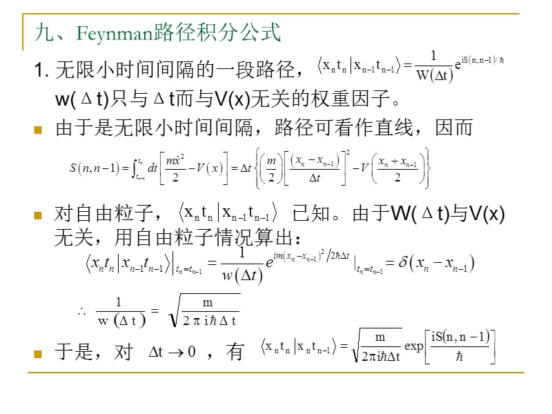 Feynman路径积分公式_第1页