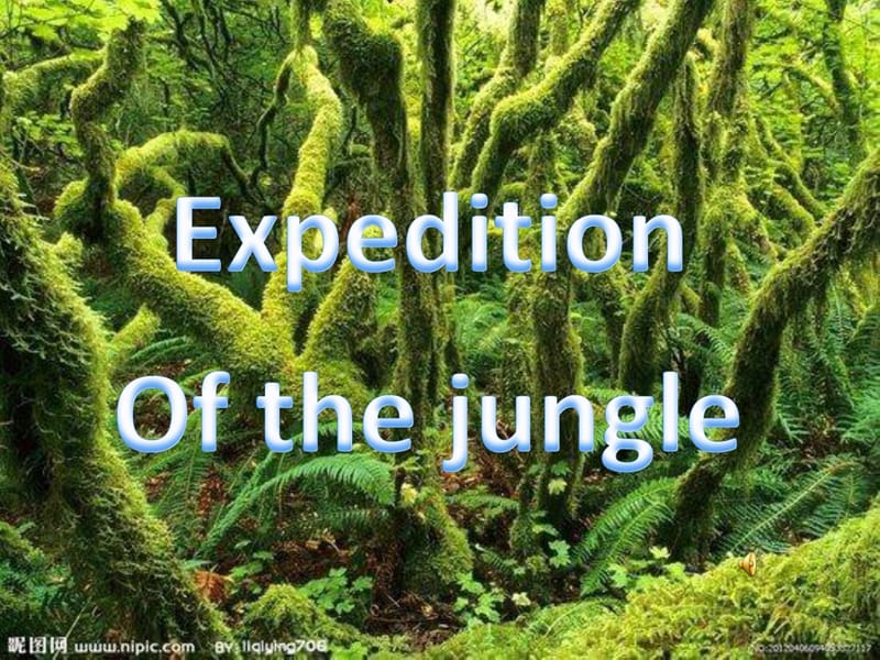 EXPEDITION OF THE JUNGLE丛林冒险_第1页