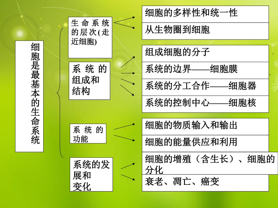 高中生物《第一章第二節(jié)細(xì)胞的多樣性和統(tǒng)一性》課件3新人教版必修_第1頁(yè)