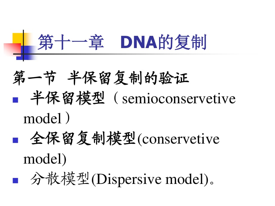 《DNA的復(fù)制》PPT課件_第1頁