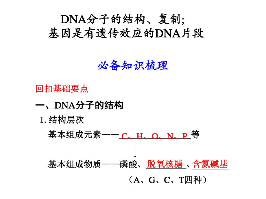 DNA分子的結(jié)構(gòu)、復(fù)制及基因_第1頁(yè)