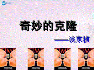 陜西省安康市紫陽縣紫陽中學(xué)初中部八年級語文上冊《第17課奇妙的克隆》課件1新人教版