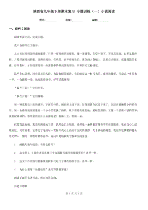 陜西省九年級(jí)語(yǔ)文下冊(cè)期末復(fù)習(xí) 專題訓(xùn)練（一）小說(shuō)閱讀