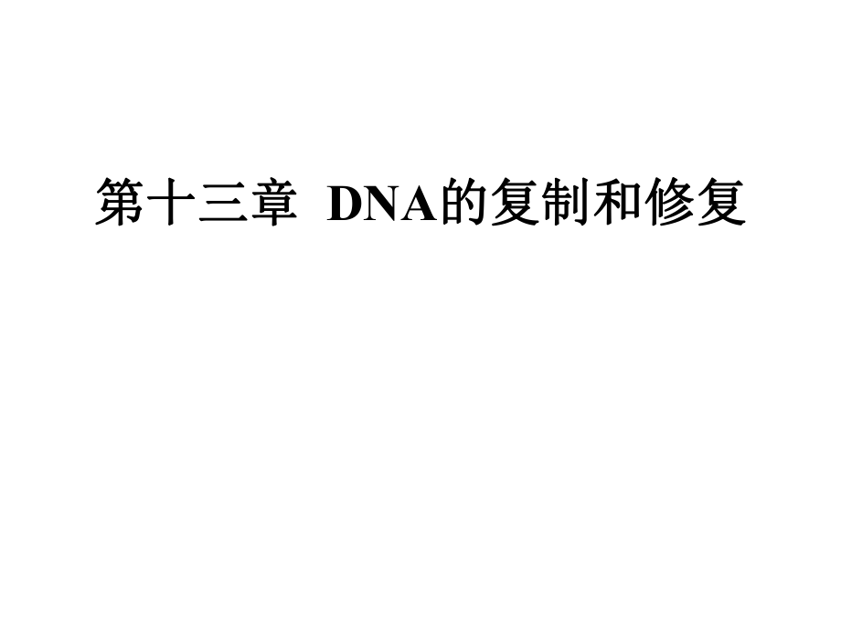 《DNA的复制和修复》PPT课件_第1页