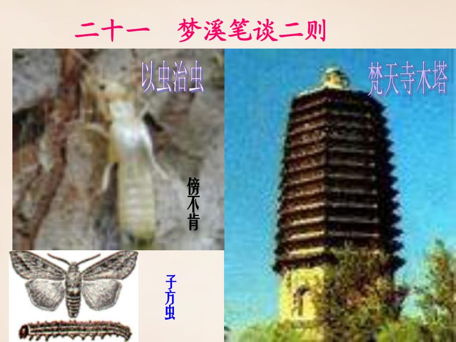 江蘇省鹽城市亭湖新區(qū)實(shí)驗(yàn)學(xué)校七年級語文上冊第五單元21《夢溪筆談二則》復(fù)習(xí)課件（新版）蘇教版_第1頁