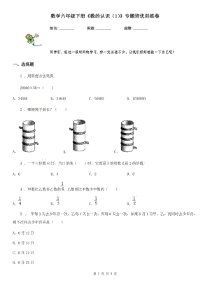 數(shù)學(xué)六年級(jí)下冊(cè)《數(shù)的認(rèn)識(shí)（1）》專題培優(yōu)訓(xùn)練卷