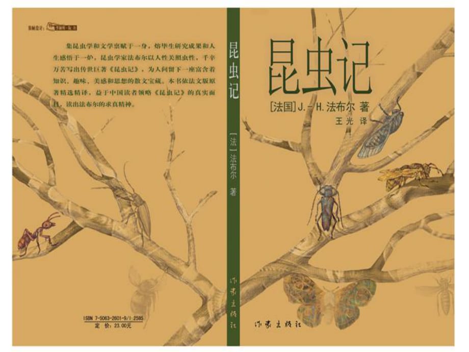 湖南省長沙市望城縣喬口鎮(zhèn)喬口中學(xué)七年級語文上冊23《綠色蟈蟈》課件（新版）新人教版_第1頁