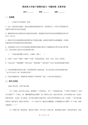 陜西省九年級(jí)語(yǔ)文下冊(cè)期末復(fù)習(xí) 專題訓(xùn)練 名著導(dǎo)讀