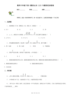 數(shù)學六年級下冊《數(shù)的認識（2）》專題培優(yōu)訓練卷