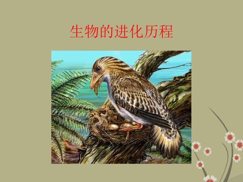 甘肅省會(huì)寧縣新添回民中學(xué)八年級(jí)生物下冊(cè)《生物進(jìn)化的歷程》課件2蘇教版_第1頁(yè)