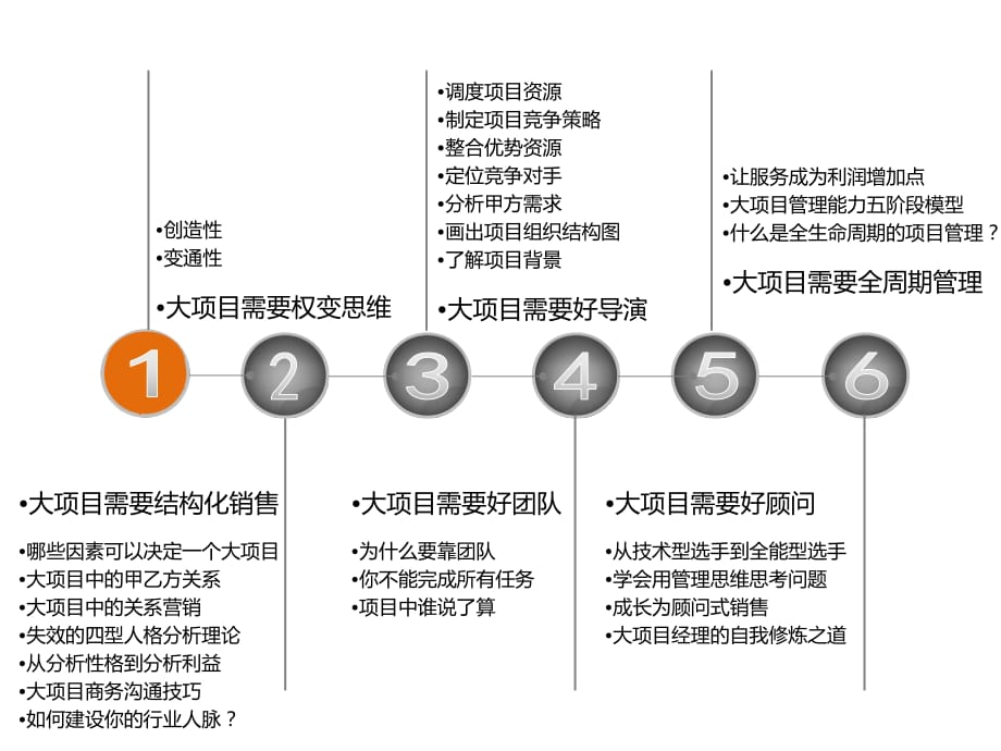 《大项目售前计划》PPT课件_第1页