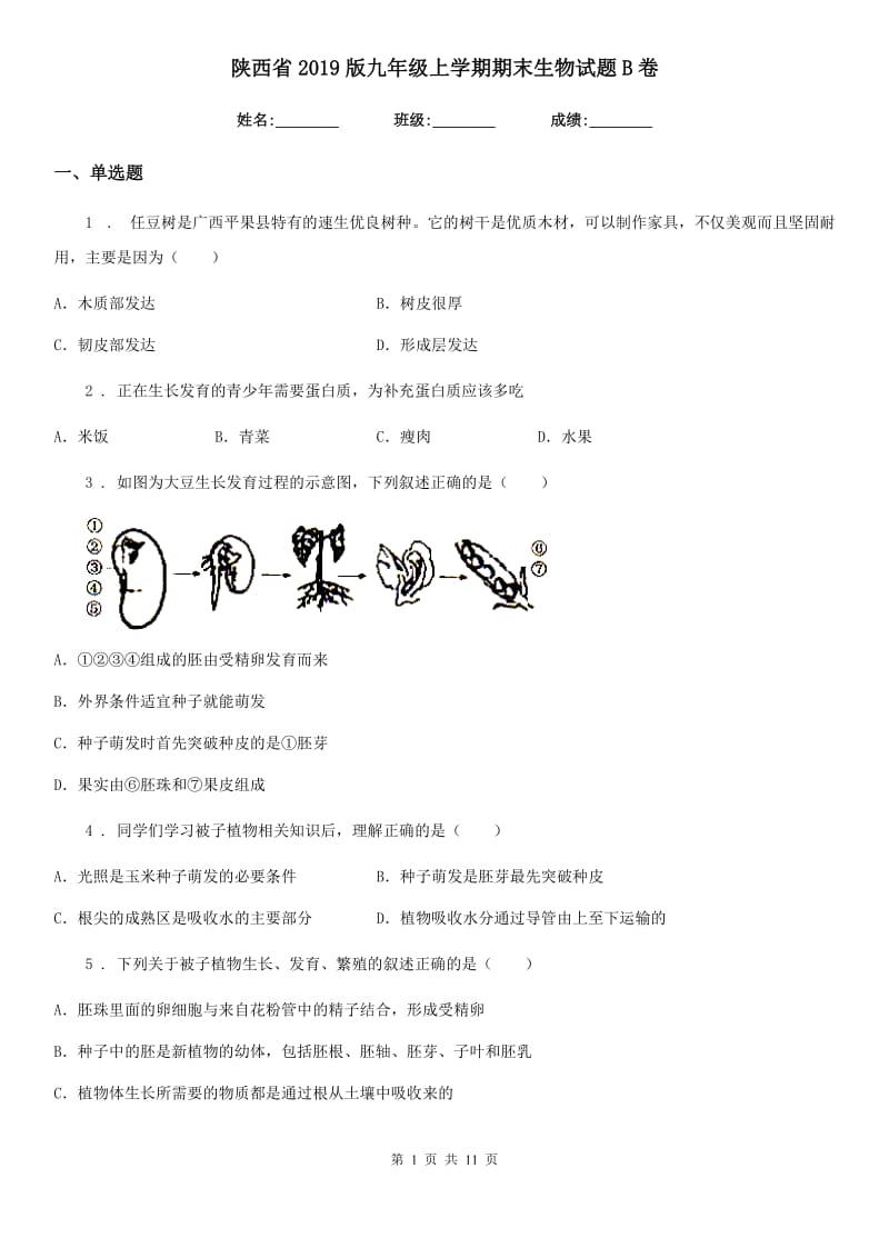 陕西省2019版九年级上学期期末生物试题B卷_第1页