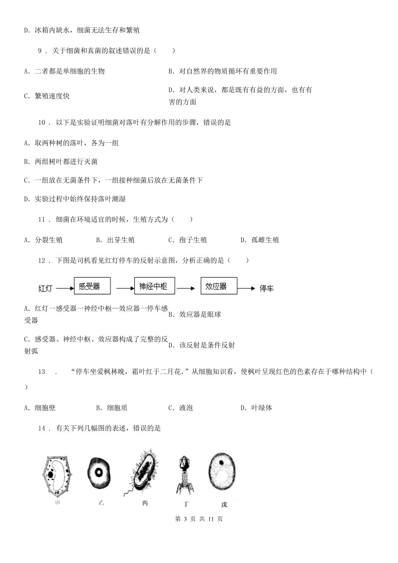 人教版生物八年级上册5.4.2细菌同步针对特练课时同步测试题_第3页