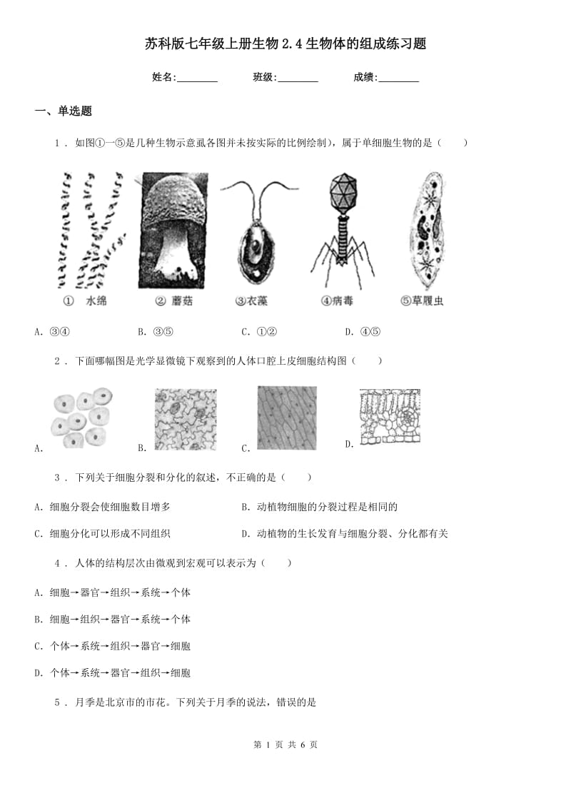 苏科版七年级上册生物2.4生物体的组成练习题_第1页