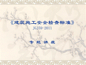 《建筑施工安全檢查標(biāo)準(zhǔn)》JGJ59-2011專題講座