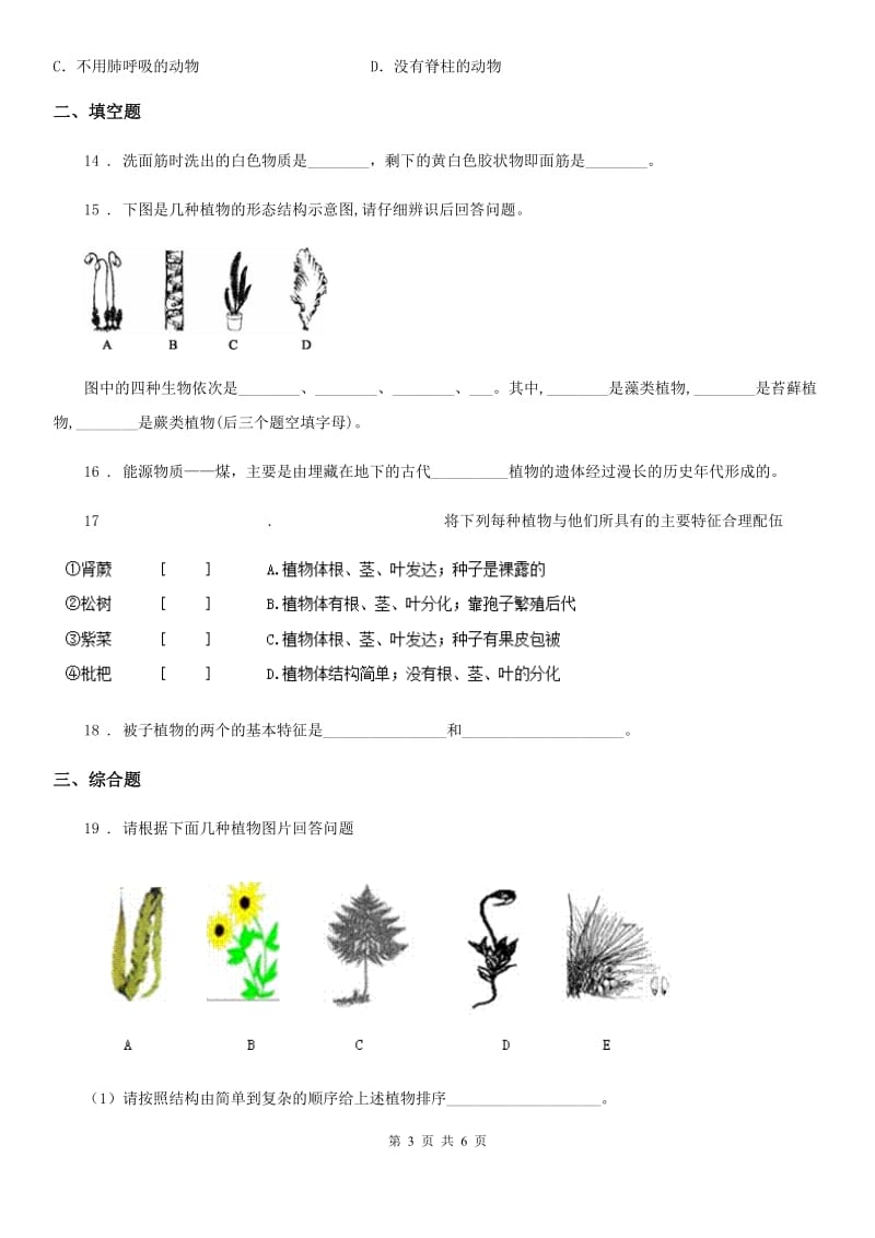 人教版（新课程标准）七年级上册生物 第三章 形形色色的植物 单元测试题_第3页