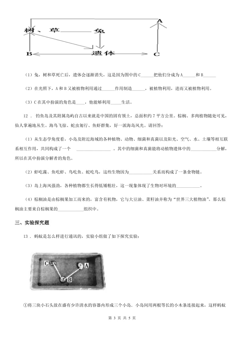 人教版七年级上册生物第一单元 生物和生物圈同步测试题_第3页